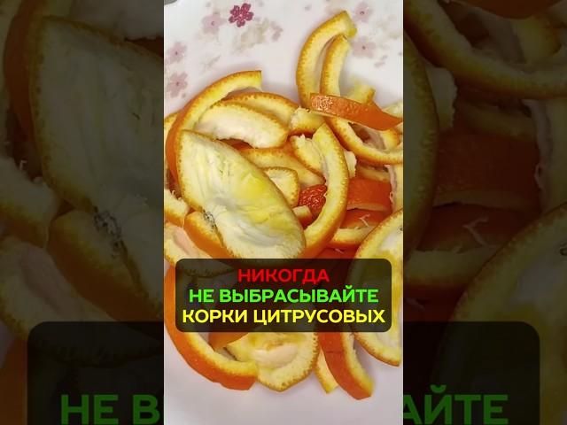 Не выбрасывайте корки цитрусовых: бесплатное средство от вредителей #огород #сад #вредители #урожай