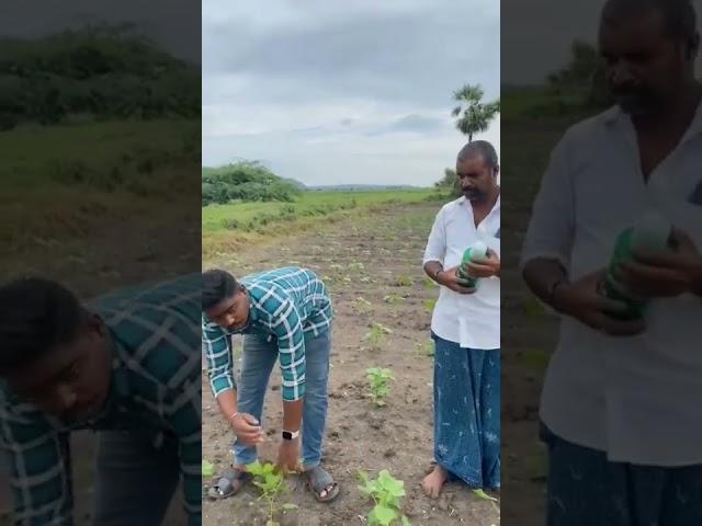 Farmer sharing his experience in Telugu about Exogen after using it on his Cotton crop.