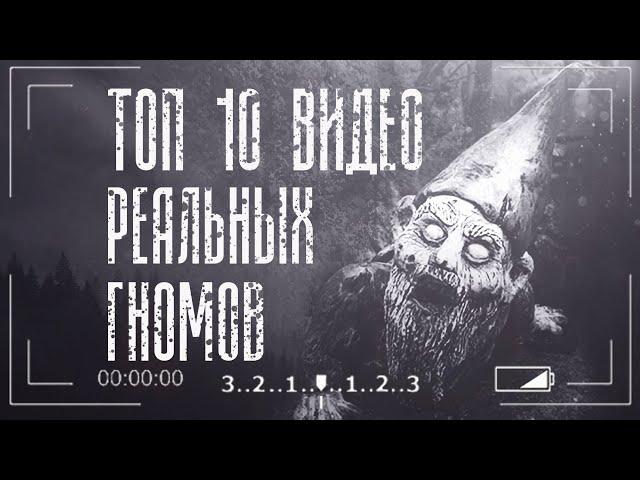 Гномы в реальной жизни | 10 реальных видео гномов