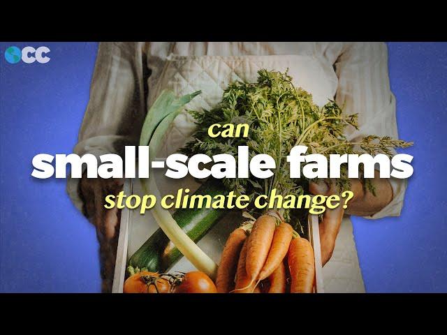 Can Small-Scale Farming Feed the World?