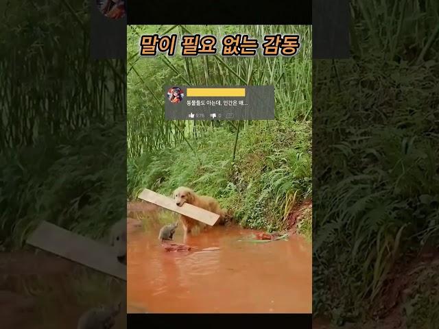 말이 필요 없는 감동