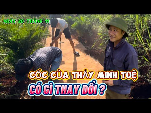 Cốc của Thầy Minh Tuệ có gì thay đổi ? Út Thìn đã làm gì ?#thichminhtue #minhtue