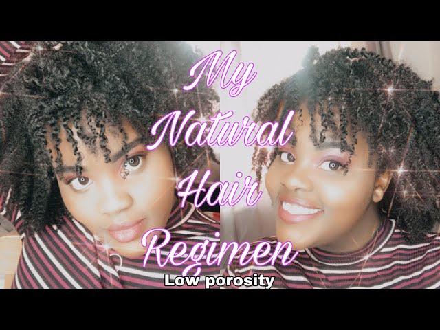 My Natural hair Regimen for LOW POROSITY Dry Natural Hair