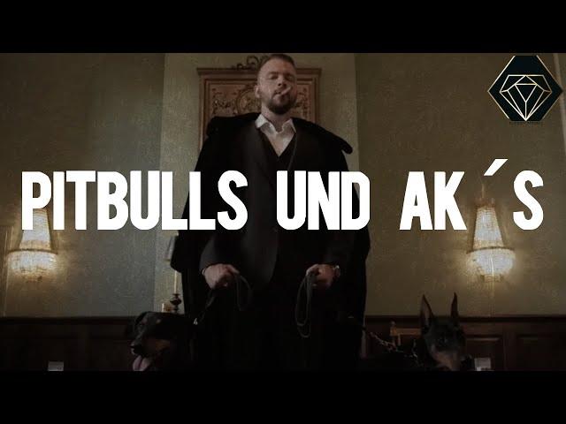 KOLLEGAH TYPE BEAT ZHT4 - PITBULLS UND AK´S