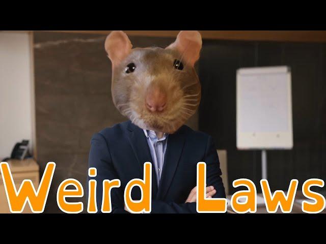 The Strangest Laws From Around the World