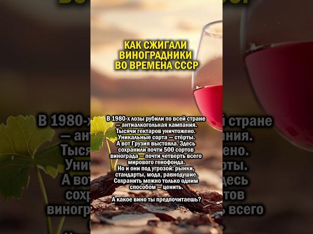 СССР ПРОТИВ ВИНА      #история #грузия #виноград