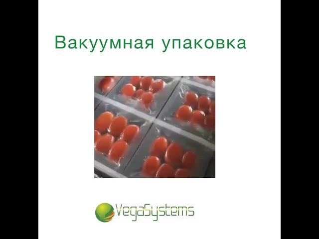 Вакуумная упаковка