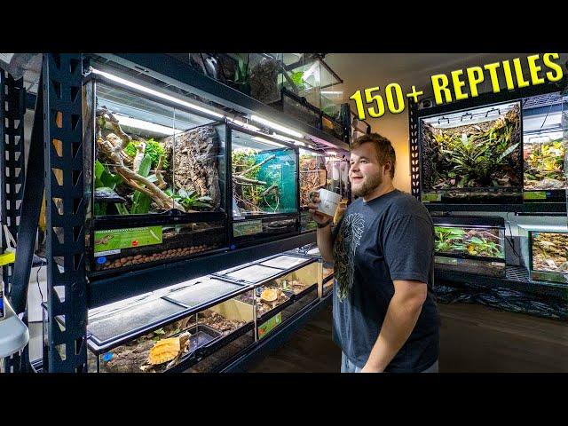 REPTILE ROOM TOUR November 2024! 150+ PET reptiles!