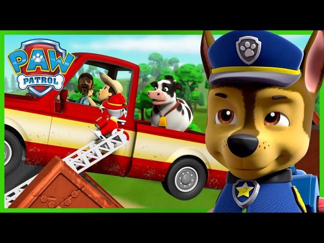 Pups save Farmer Al and Farmer Yumi on a broken bridge! - PAW Patrol Cartoons for Kids Compilation