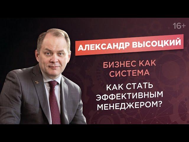 Александр Высоцкий. Система управления бизнесом. Как стать эффективным менеджером?