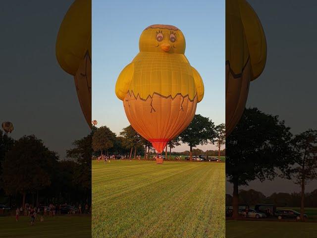 Even geduld hebben.... de landing van het kuiken van Ballonteam Wessel