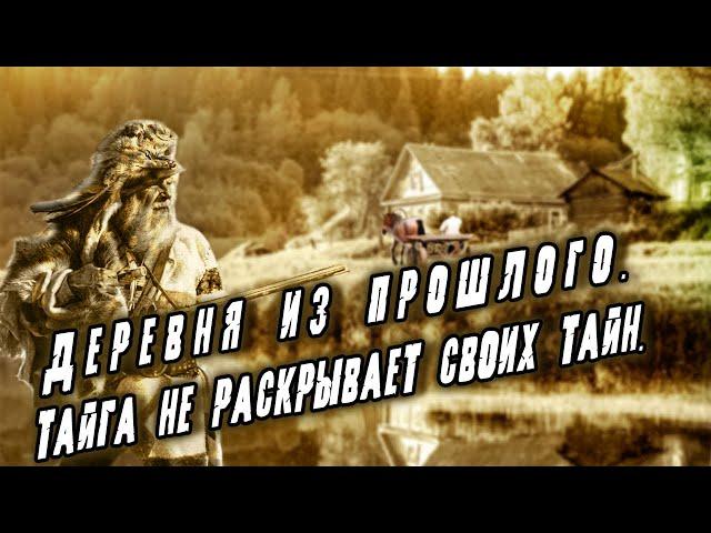 Таинственная деревня из прошлого! Тайга не раскрывает свои тайны! Случай в тайге!