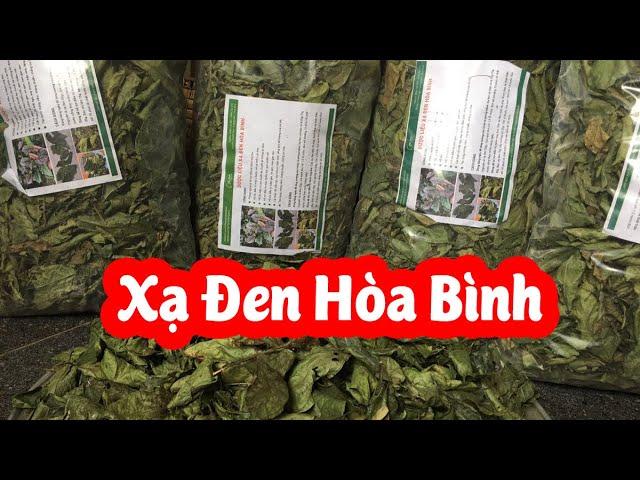 Lá Xạ Đen Khô Hòa Bình Chất Lượng Như Thế Nào