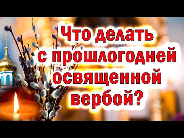 ТОЛЬКО СЕГОДНЯ! Что делать с прошлогодней вербой? Куда девать вербу. С Вербным воскресеньем!