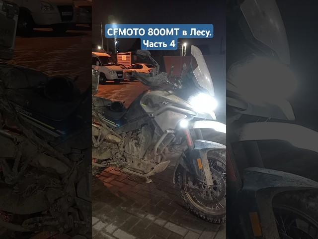 #cfmoto #800mt в Лесу. Часть 4.