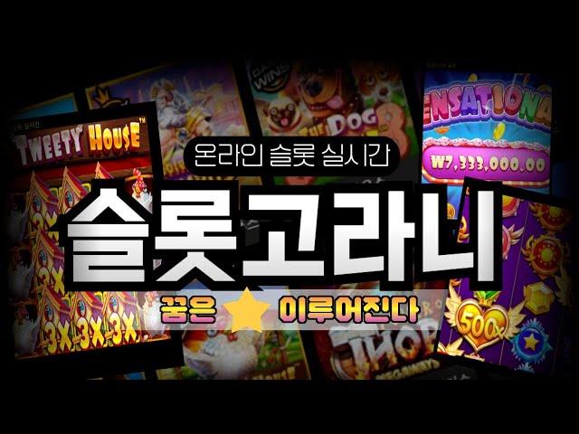 슬롯 실시간
