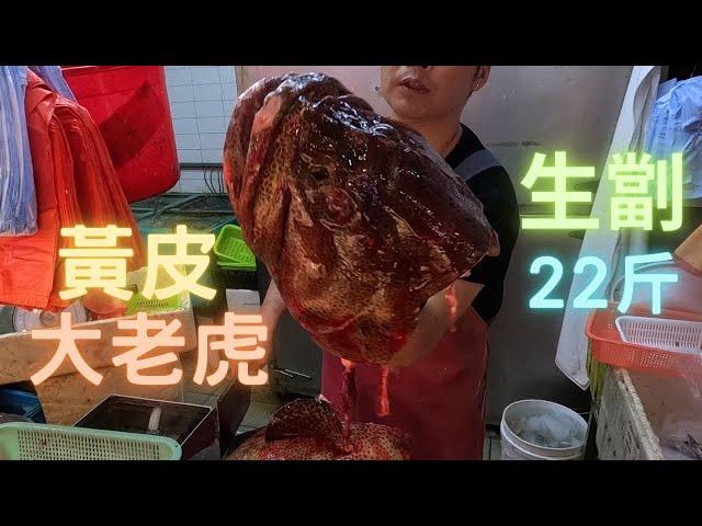 黃皮大老虎22斤皮爽肉甜,用幾粒鹽妙已經勁好食~fishcutting香港海鮮~社長遊街市Seafood