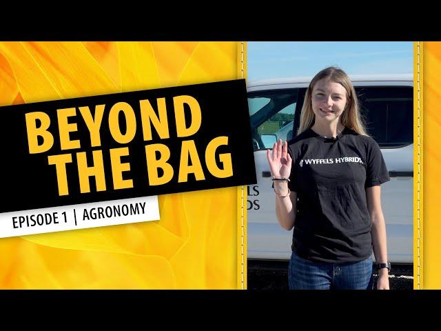 Wyffels Hybrids - Beyond the Bag | Agronomy