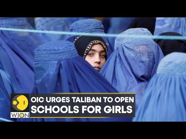 OIC urges Taliban to open schools for girls | World News | English News | Latest News | WION