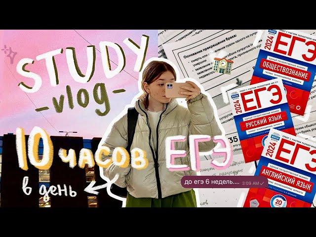 *STUDY vlog*: 40 дней до ЕГЭ... // как все успевать? ‧₊˚⊹