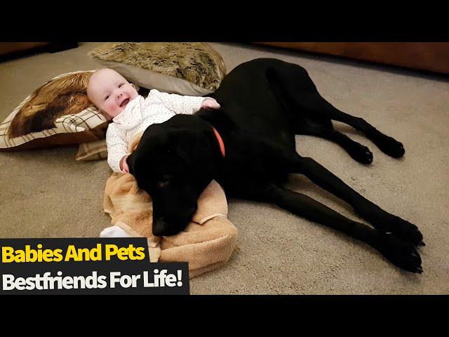 Top 20 Moments: Dogs And Babies Being Best Friends