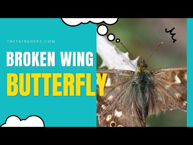 Mastering the Broken Wing Butterfly Strategy for Consistent Wins #optionsellingstrategies #income