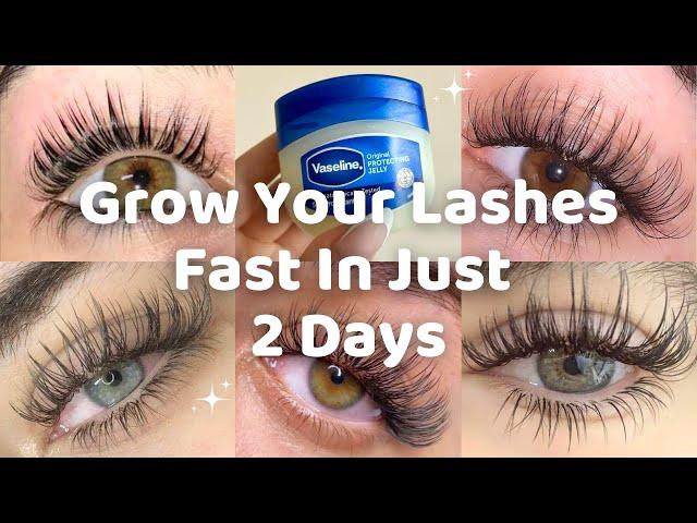 How To Grow Long Lashes at HOME | grow long lashes naturally | get long eyelashes naturally