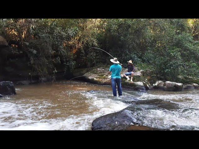 A Pescaria nas cachoeiras do Rio Pinheiro Alto saiu muito peixe!!!