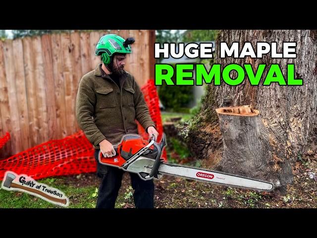 MEGA Maple Job!! Removing A Tree Stuck Between TWO Yards - Part 2