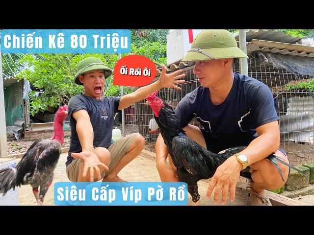 GÀ 80 TRIỆU - Siêu Cấp VIP PỜ RỒ Chưa Từng Được Chia Sẻ / Đức Hiếu