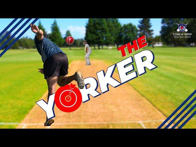 HOW to BOWL YORKERS like a PRO | Fast Bowling Drills