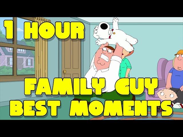 Family guy 1 Hour Compilation