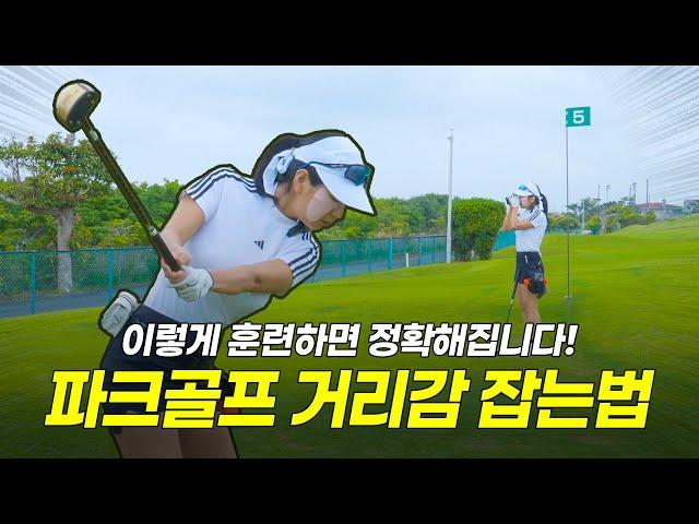 파크골프 파크골프 거리감 잡는 법, 이렇게 연습하세요! | 하이샷파크골프