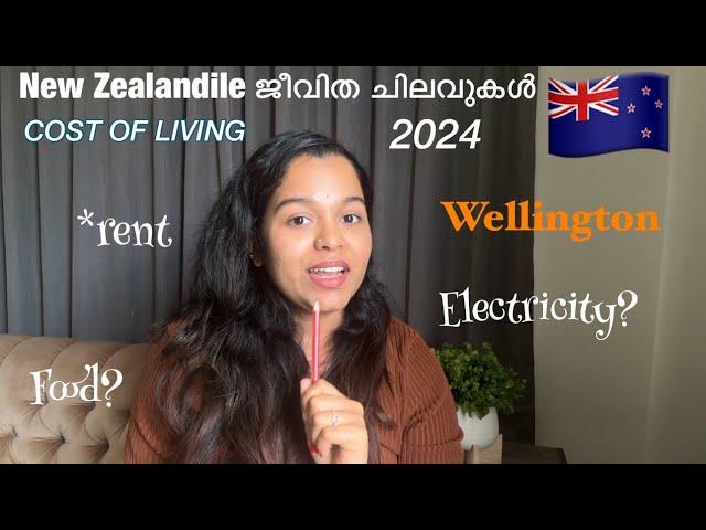 New zealandile ജീവിത ചിലവ് എത്ര? Cost ofLiving In New Zealand 2024. #malayalamvlog #newzealand