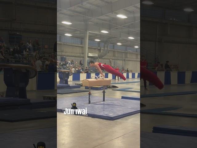 Jun Iwai P.Horse                              2024Region3Championships