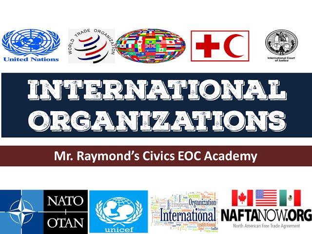 International Organizations - 4.2 Governmental and NGOs - Benchmark Civics EOC