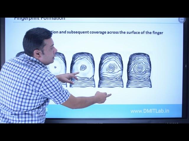 DMIT Test Reliable, Scientific and Accurate, DMIT Fingerprint Analysis Review