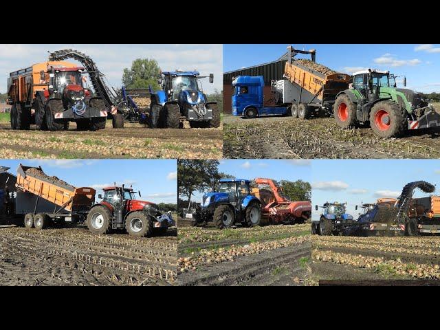 Uien laden  Loading Onions  Striper akkerbouw  2x Dezeure overlaadwagen