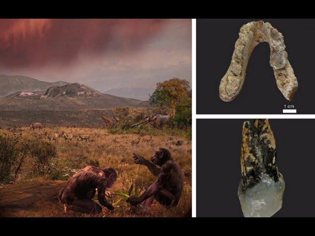 Europe was the birthplace of mankind, not Africa, scientists find