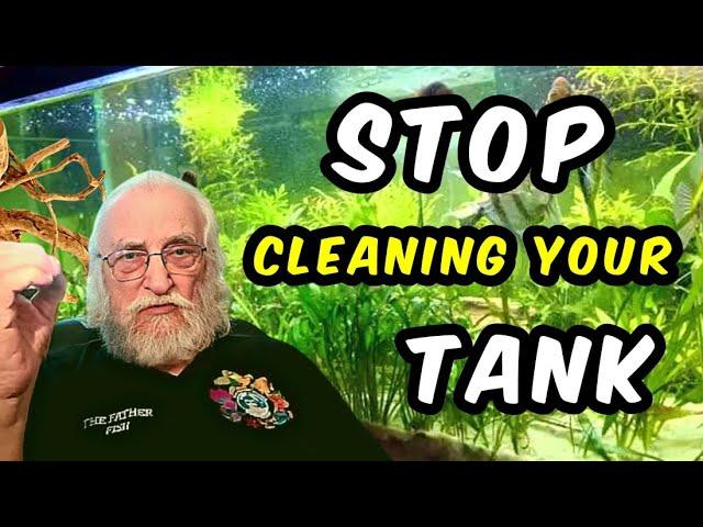 The Simple Secret to Keep Your Aquarium Clean!