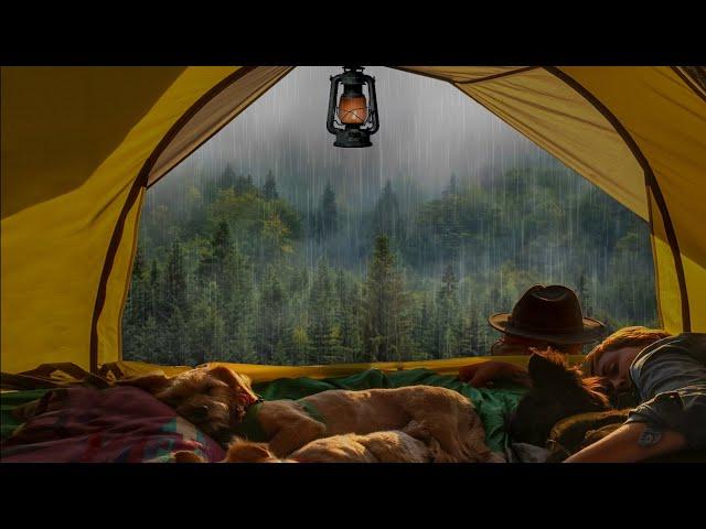 I'll Sleep in This Tent on a Rainy Day in a Foggy Forest - Sounds of Rain in Sleep