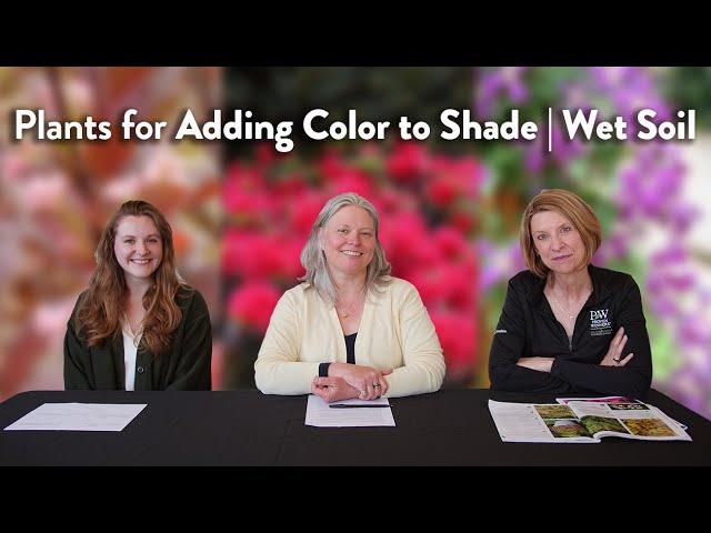 Plant Picks - Recommending Plants | Colorful Flowers for Shade | Plants for Wet Soil