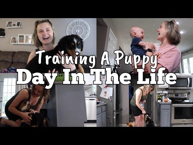 DAY IN THE LIFE WITH A PUPPY IN TRAINING | JUGBOW | MOM OF 4 DAY IN THE LIFE VLOG | MEGA MOM