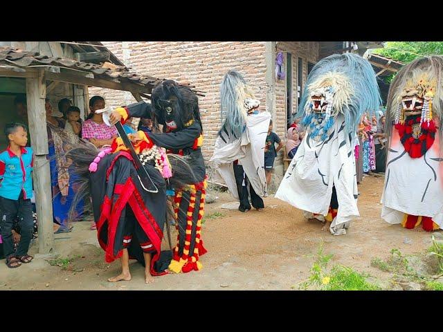 Barongan di G0r0k!! Barongan Gemblak Galak Vs Barongan Joko Lodro - WONG WORO