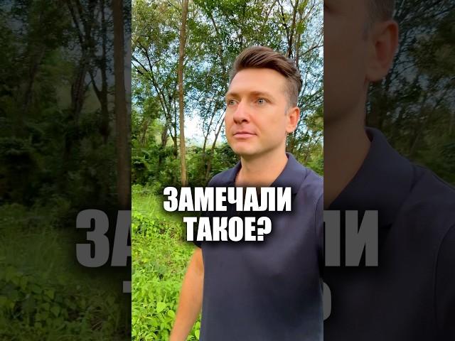 Важное наблюдение