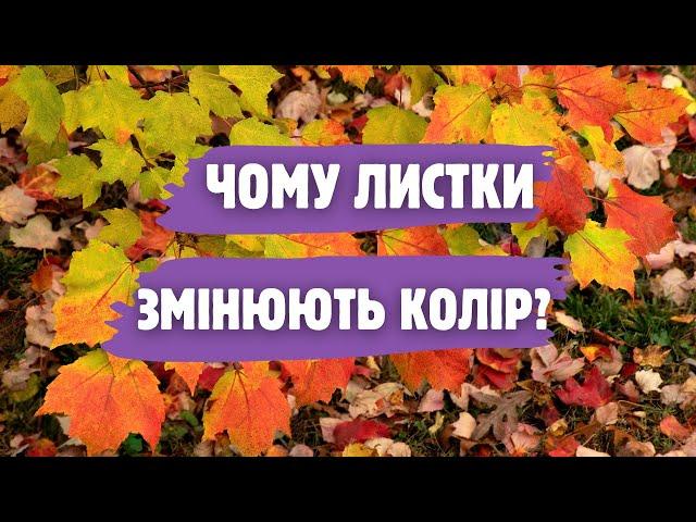 Як рослини готуються до зими? Все не так просто, як здається на перший погляд.