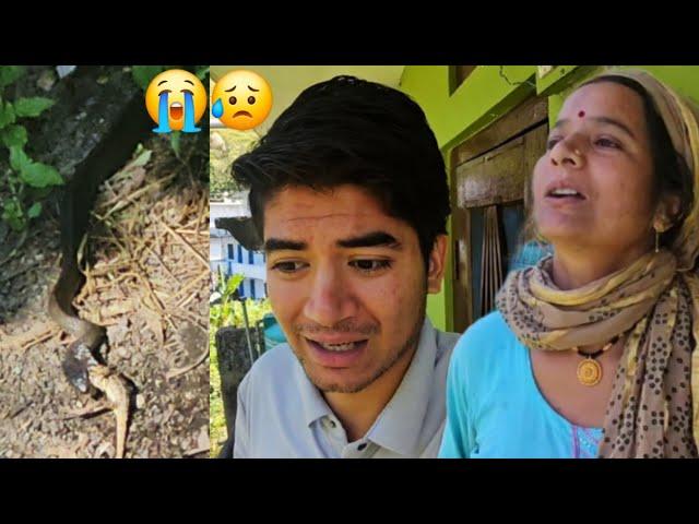 इस सांँप ने हमारा जीना हराम कर रखा है  !! pahadi lifestyle vlogs || daily vlogs || Vishal Rawat