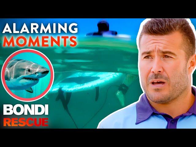 Top 5 Alarming Moments on Bondi Rescue - Season 12