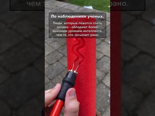 Подпишись! Новые факты каждый день #интересно#интересныефакты #факты#история#шок#развитие#shorts
