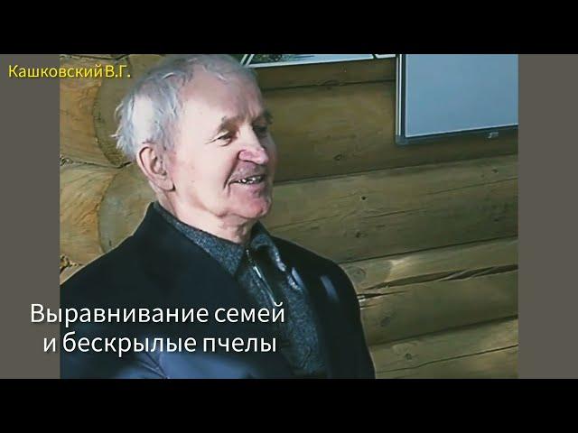 Пчелы без крыльев. Когда и зачем выравнивать пчелосемьи по силе.